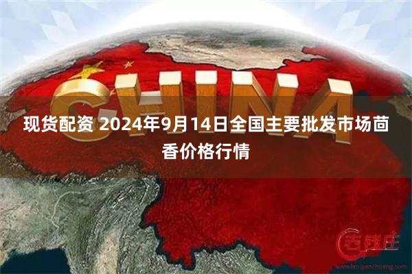 现货配资 2024年9月14日全国主要批发市场茴香价格行情