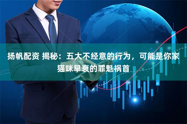 扬帆配资 揭秘：五大不经意的行为，可能是你家猫咪早衰的罪魁祸首