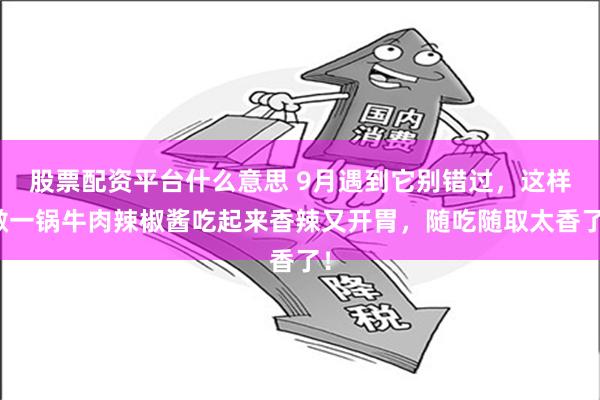 股票配资平台什么意思 9月遇到它别错过，这样做一锅牛肉辣椒酱吃起来香辣又开胃，随吃随取太香了！