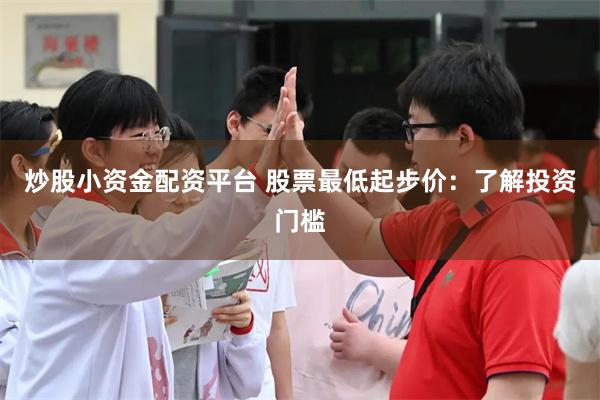 炒股小资金配资平台 股票最低起步价：了解投资门槛