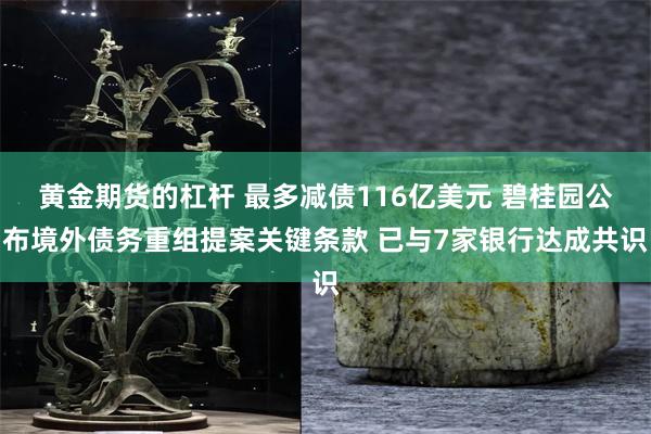 黄金期货的杠杆 最多减债116亿美元 碧桂园公布境外债务重组提案关键条款 已与7家银行达成共识