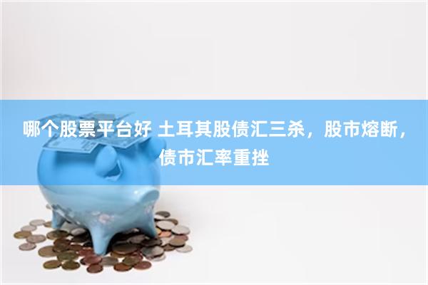 哪个股票平台好 土耳其股债汇三杀，股市熔断，债市汇率重挫
