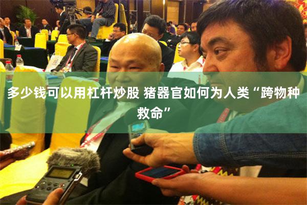 多少钱可以用杠杆炒股 猪器官如何为人类“跨物种救命”