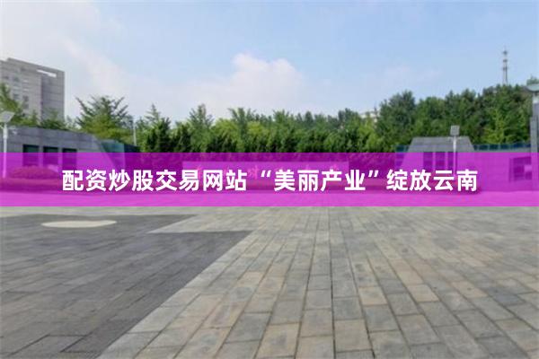 配资炒股交易网站 “美丽产业”绽放云南