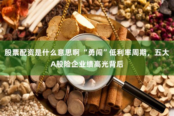 股票配资是什么意思啊 “勇闯”低利率周期，五大A股险企业绩高光背后