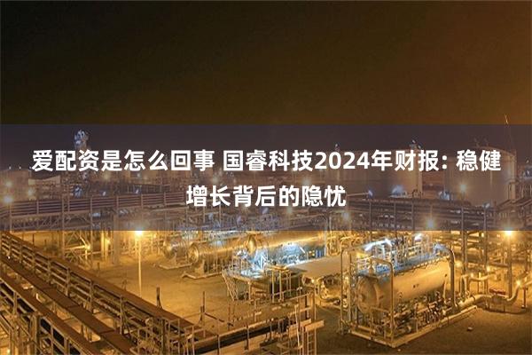 爱配资是怎么回事 国睿科技2024年财报: 稳健增长背后的隐忧