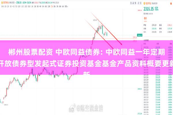 郴州股票配资 中欧同益债券: 中欧同益一年定期开放债券型发起式证券投资基金基金产品资料概要更新
