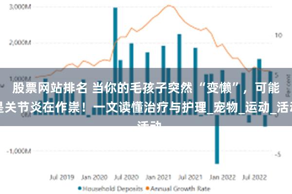 股票网站排名 当你的毛孩子突然 “变懒”，可能是关节炎在作祟！一文读懂治疗与护理_宠物_运动_活动