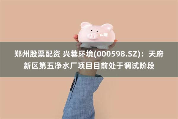 郑州股票配资 兴蓉环境(000598.SZ)：天府新区第五净水厂项目目前处于调试阶段