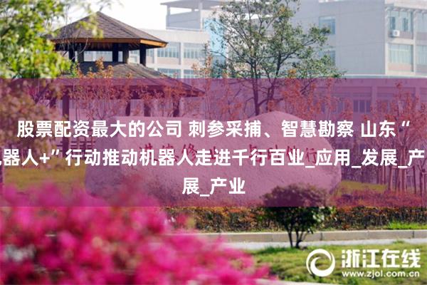 股票配资最大的公司 刺参采捕、智慧勘察 山东“机器人+”行动推动机器人走进千行百业_应用_发展_产业