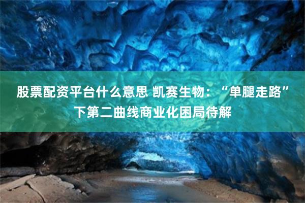 股票配资平台什么意思 凯赛生物：“单腿走路”下第二曲线商业化困局待解
