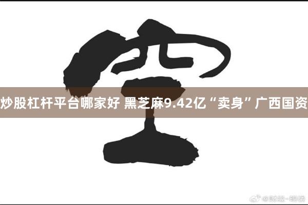 炒股杠杆平台哪家好 黑芝麻9.42亿“卖身”广西国资