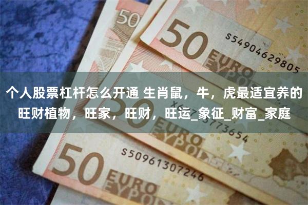 个人股票杠杆怎么开通 生肖鼠，牛，虎最适宜养的旺财植物，旺家，旺财，旺运_象征_财富_家庭